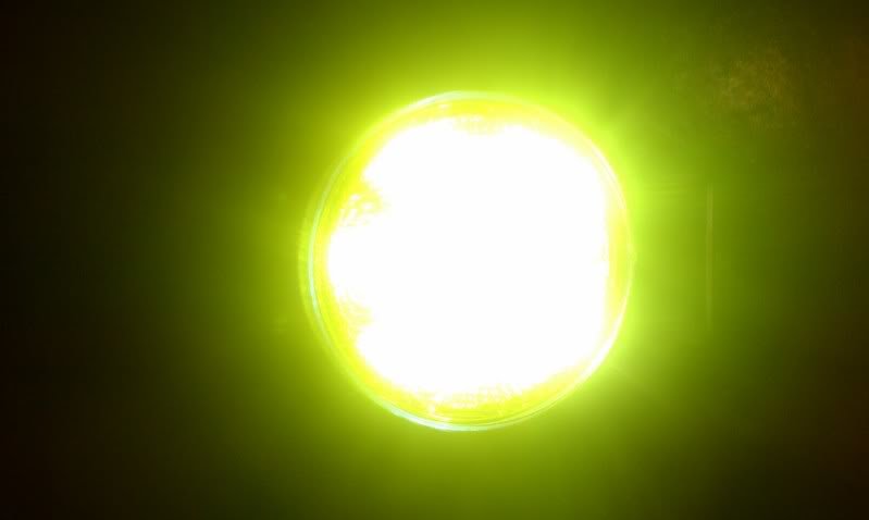 IMAG0667_ca346f6246f25cad45293a2699f749ffa3470172.jpg