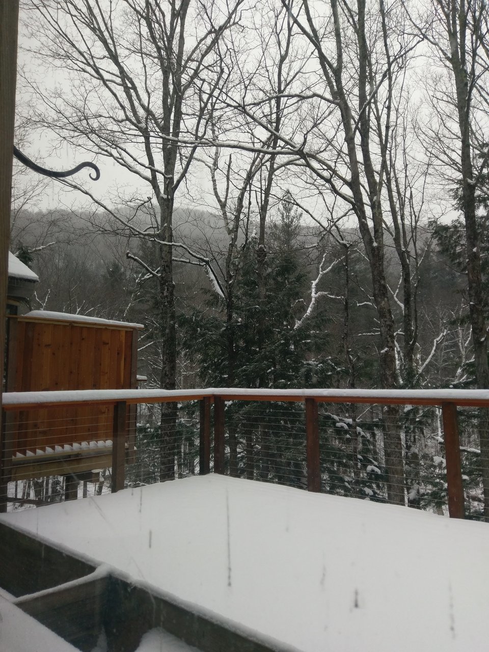 IMAG0674.jpg