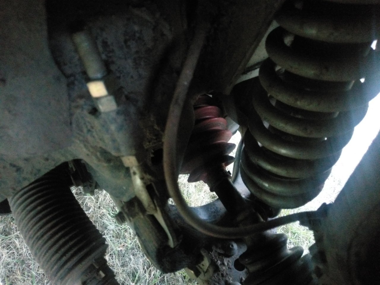 IMAG0695.jpg