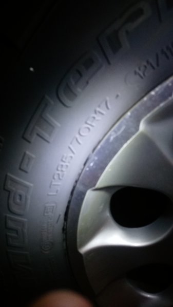 IMAG0697.jpg