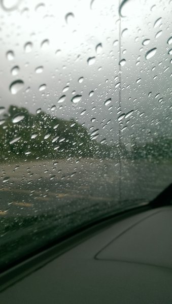 IMAG0714.jpg