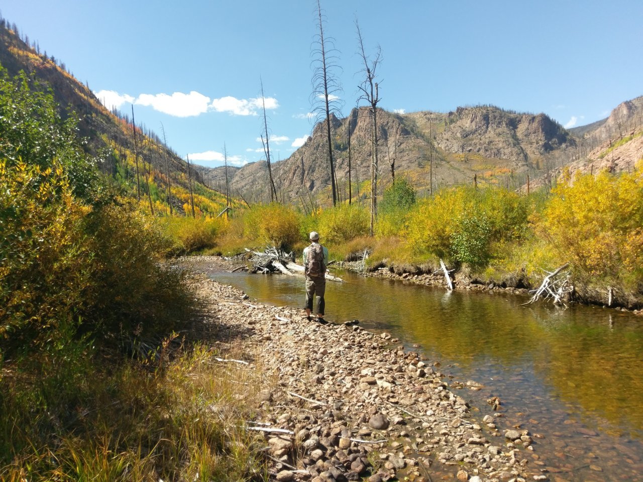 IMAG0731.jpg