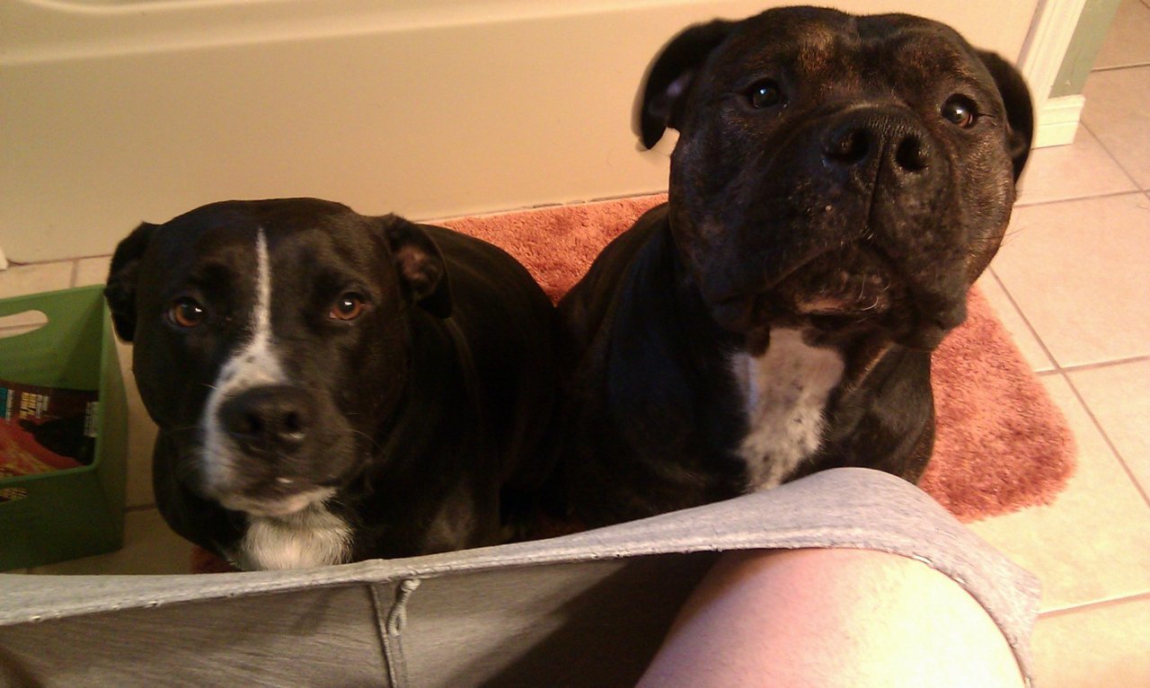 IMAG0745.jpg