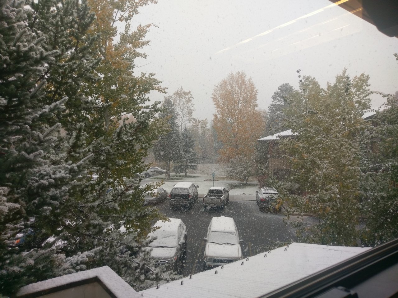 IMAG0748.jpg