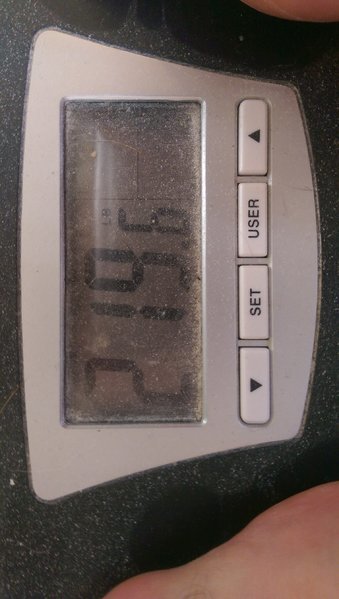 IMAG0781.jpg