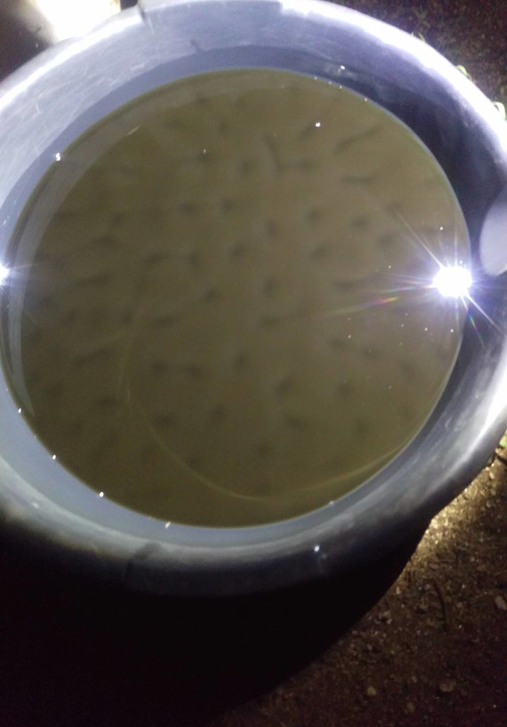 IMAG0783.jpg