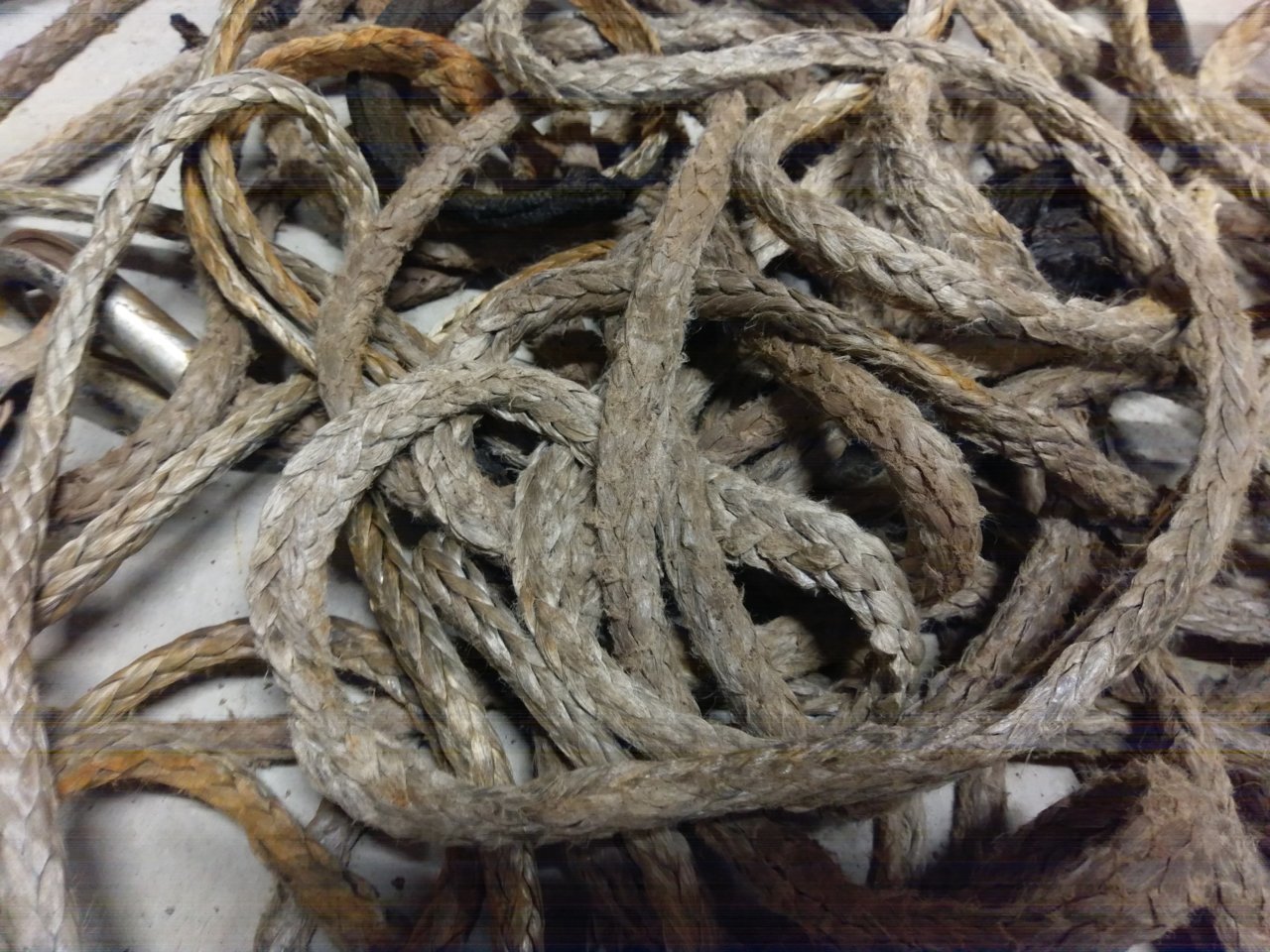 IMAG0797.jpg