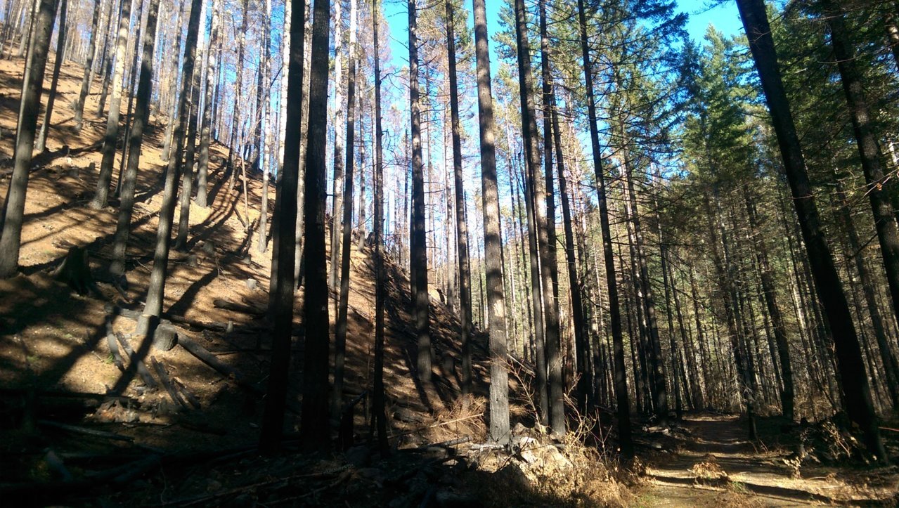 IMAG0806.jpg