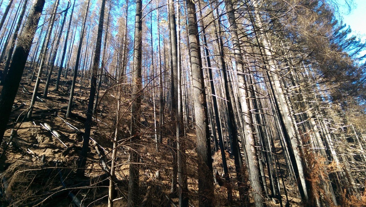 IMAG0809.jpg