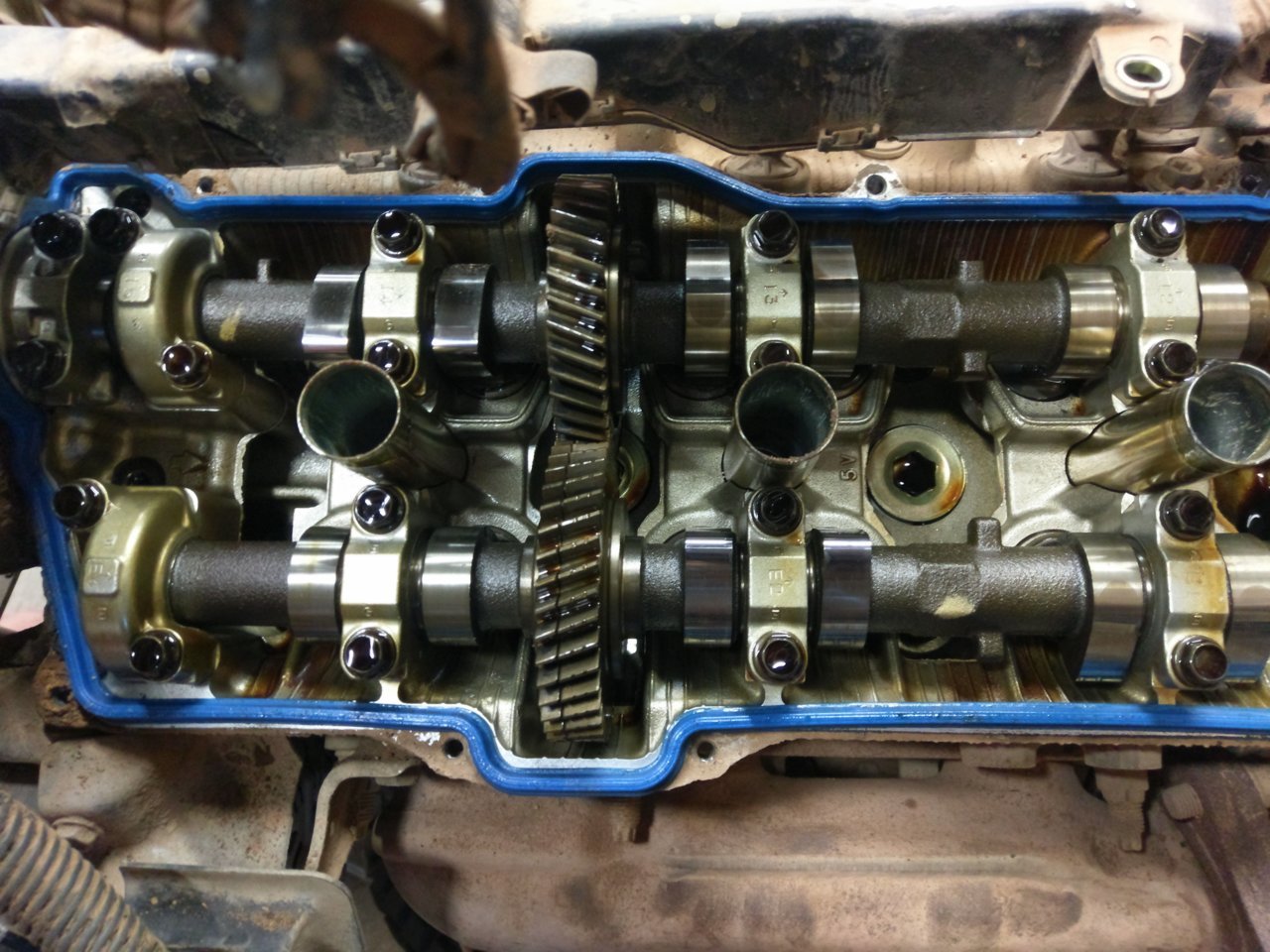 IMAG0825.jpg