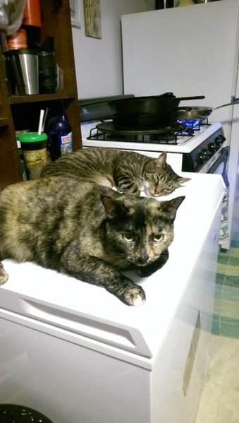 IMAG0838.jpg
