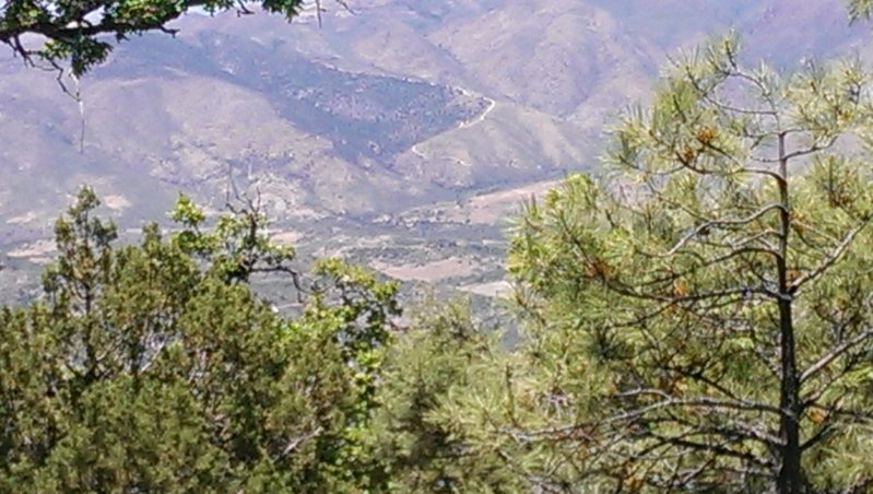 IMAG0840.jpg