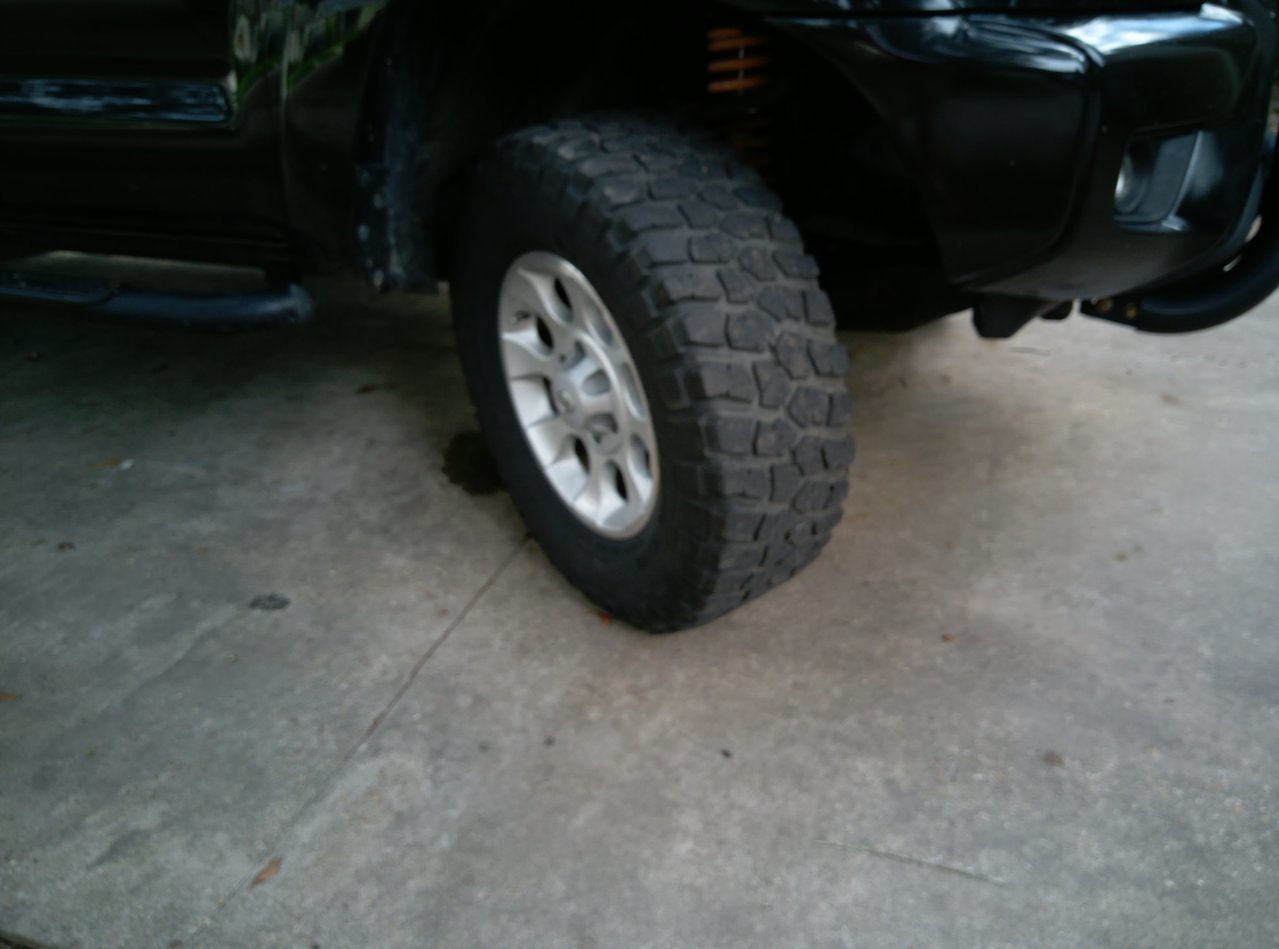 IMAG0860.jpg