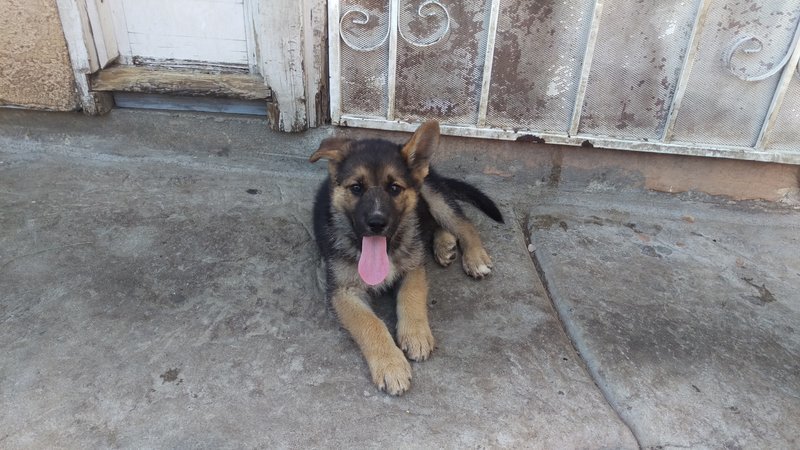 IMAG0870.jpg
