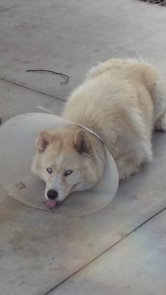 IMAG0876.jpg