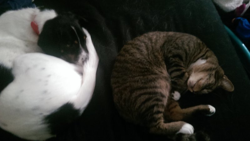 IMAG0878.jpg