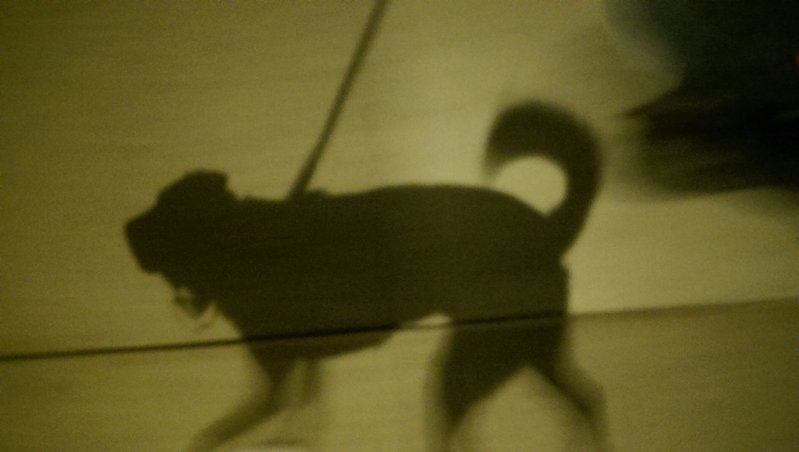 IMAG0885.jpg