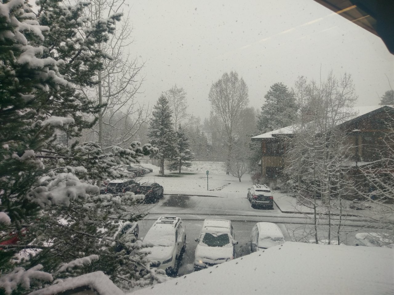 IMAG0886.jpg