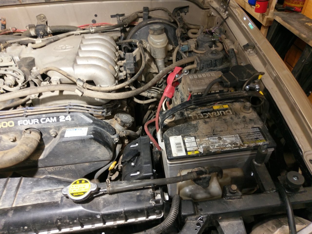 IMAG0893.jpg