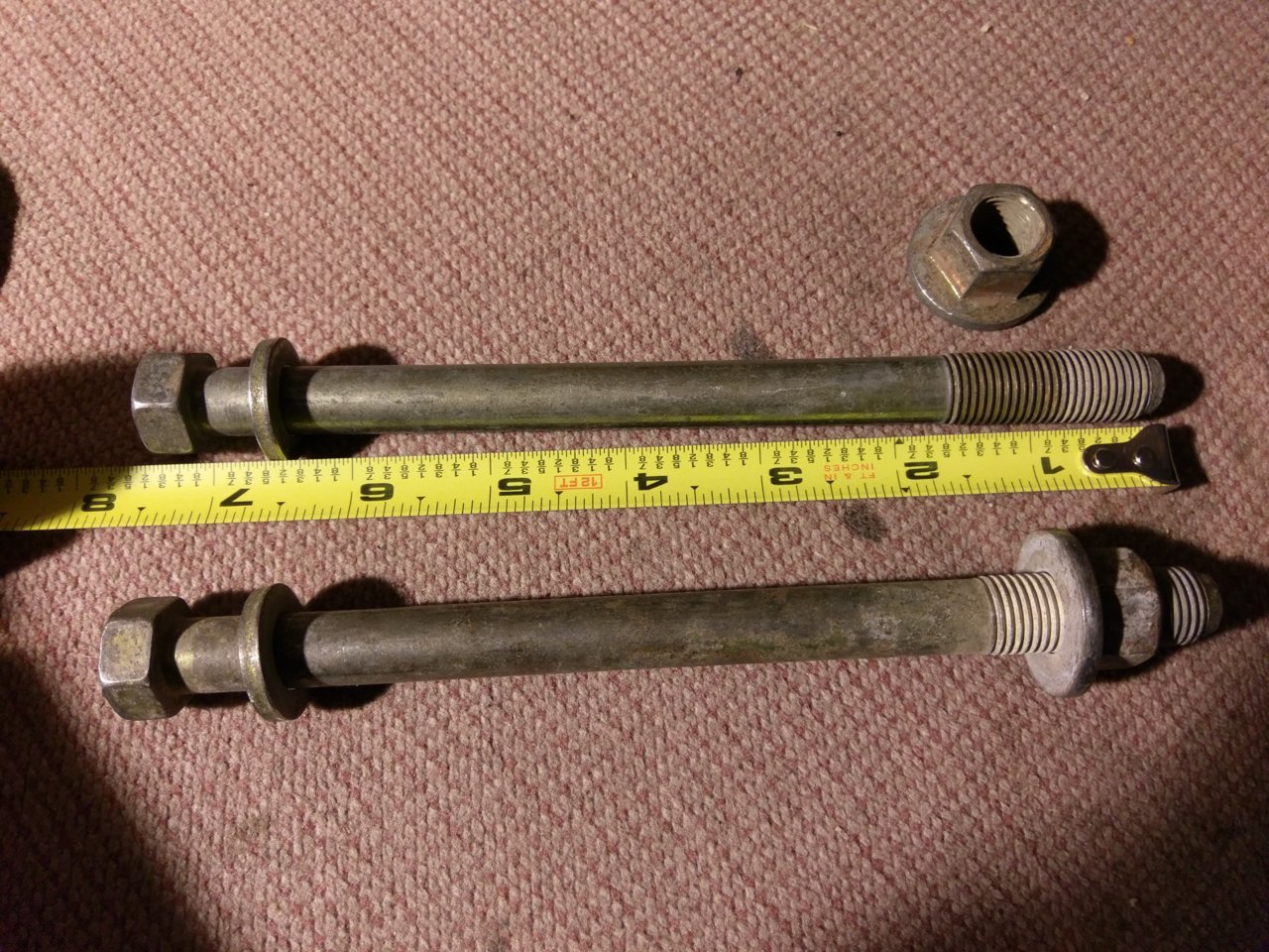 IMAG0895.jpg