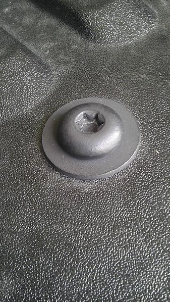 IMAG0911.jpg