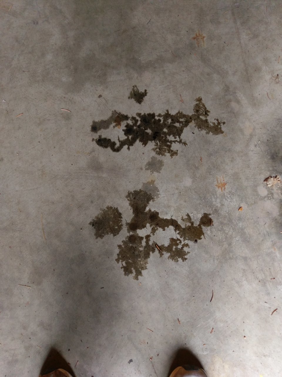 IMAG0918.jpg