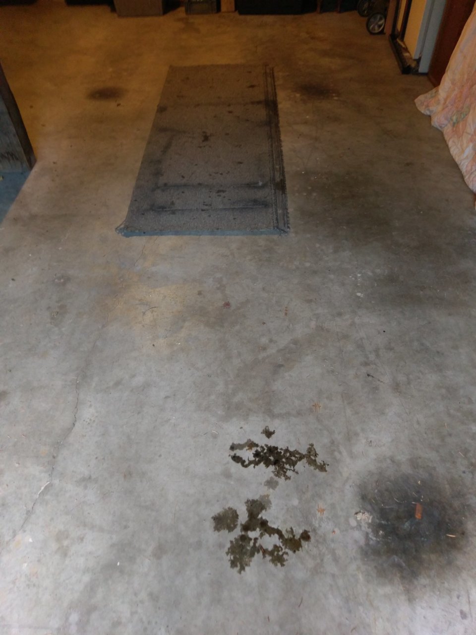 IMAG0920.jpg