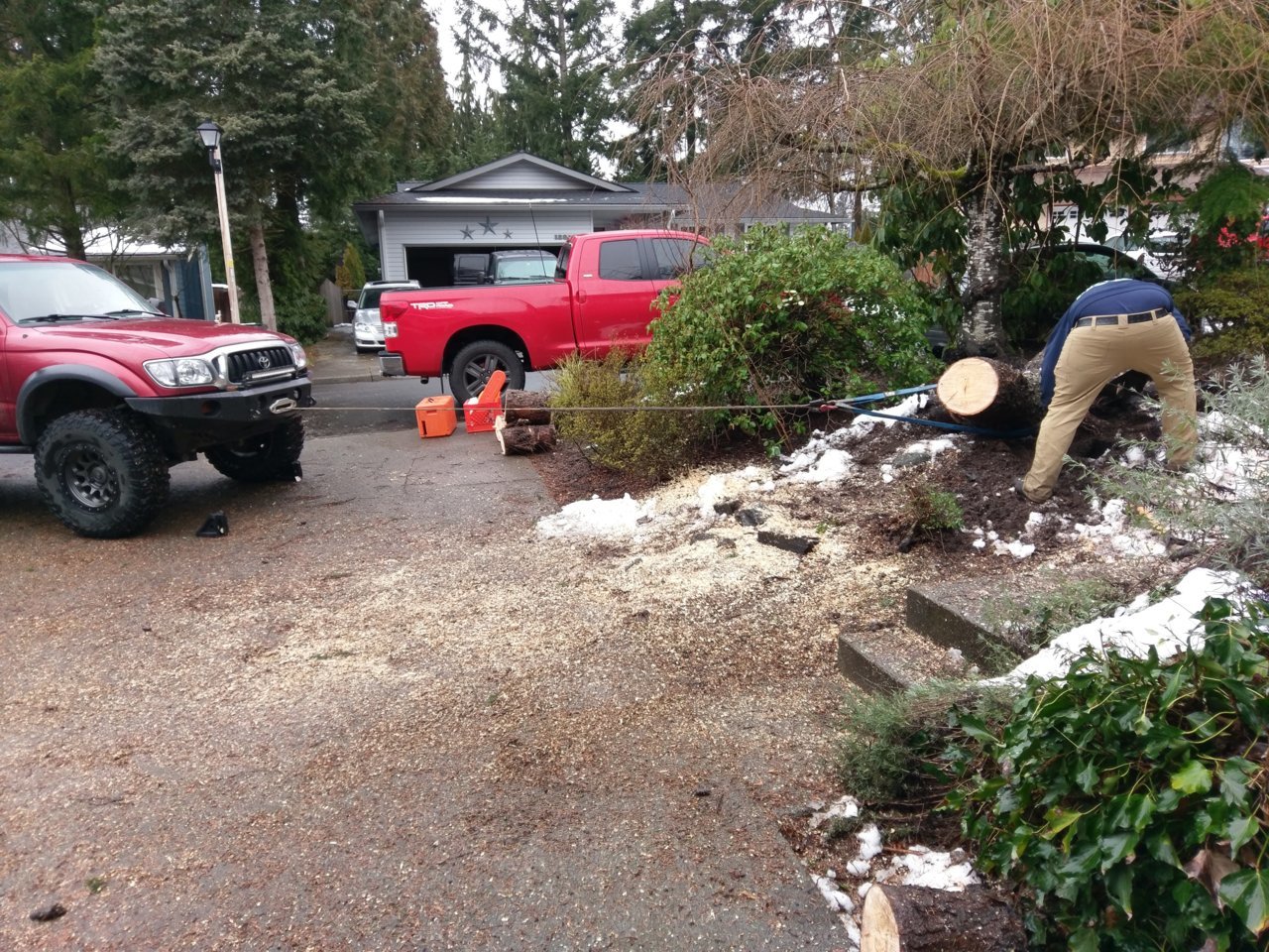 IMAG0955.jpg