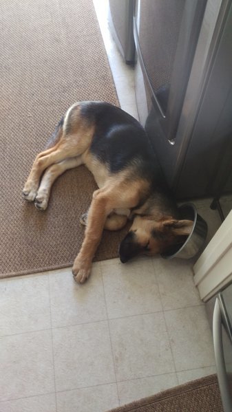 IMAG0962.jpg