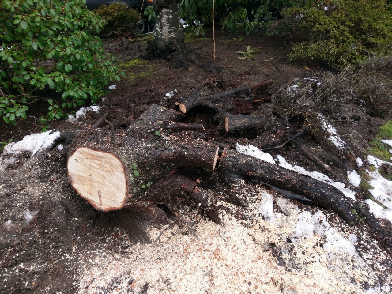 IMAG0962.jpg