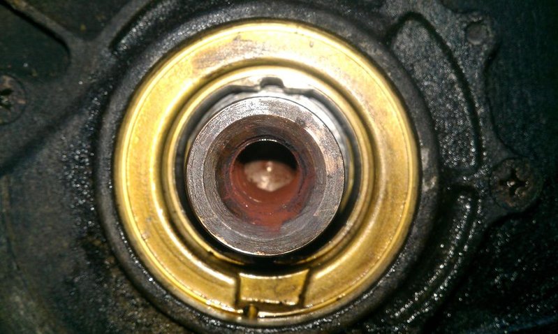 IMAG0967.jpg