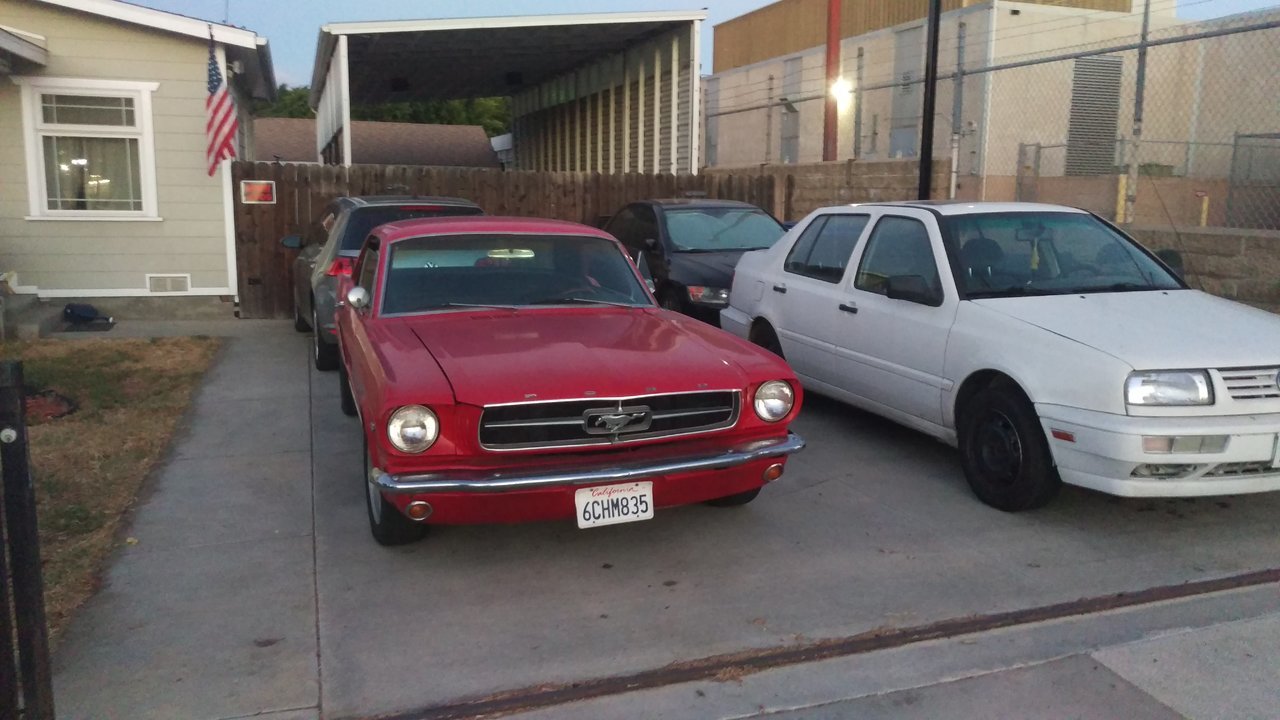 IMAG0987.jpg