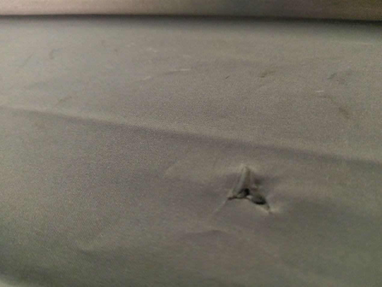 IMAG1106-20190903-11475318 (002).jpg