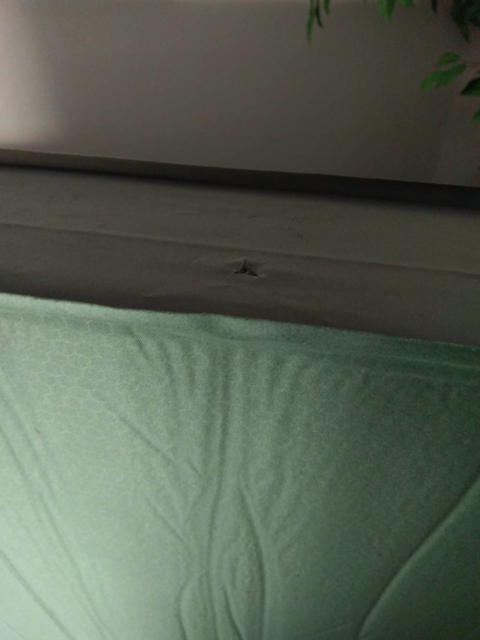 IMAG1107-20190903-114753574 (002).jpg