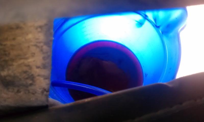 IMAG1137_284f21e952f073a1c1338d978c689ad1488a9f5e.jpg