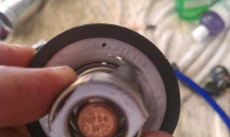 IMAG1146_48e46ce15702e16dc643190718220f8e6fb3dc8c.jpg
