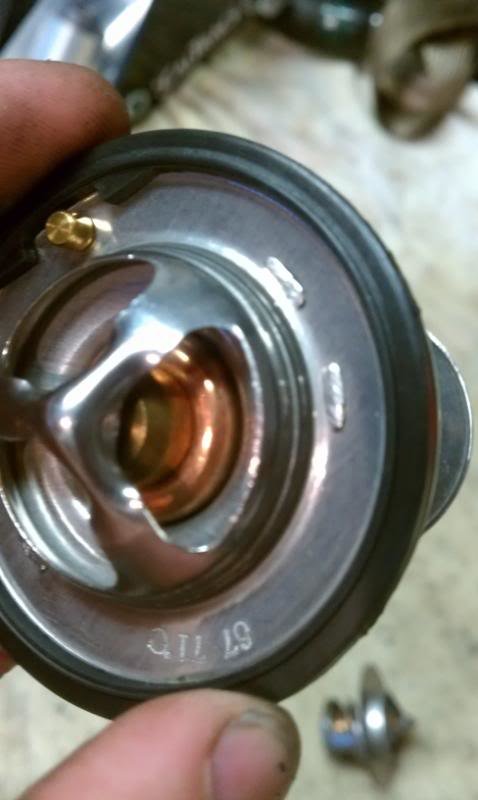 IMAG1175_4f9f87898d8909b084516fb53c42ec0092797513.jpg