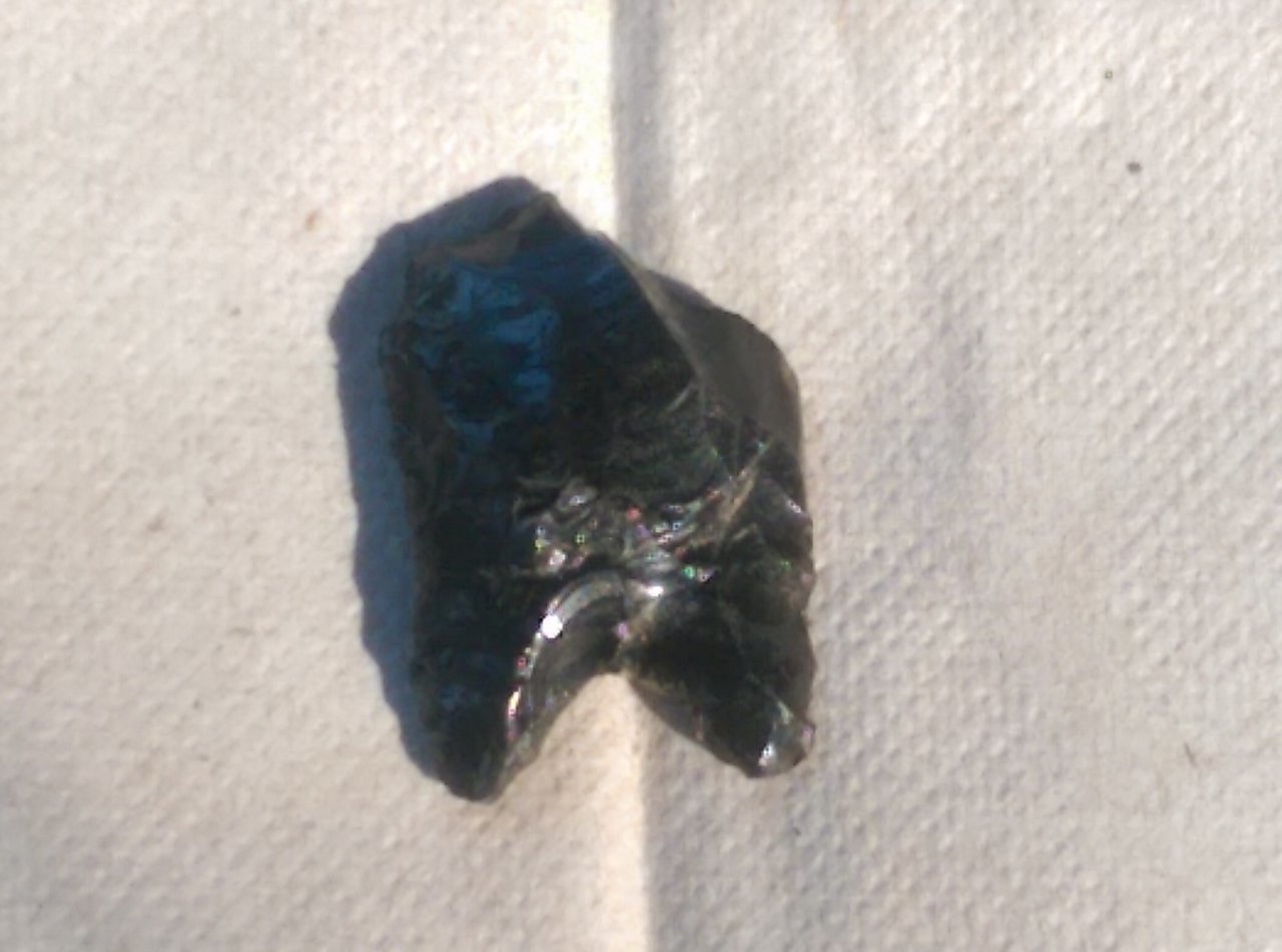 IMAG1230.jpg