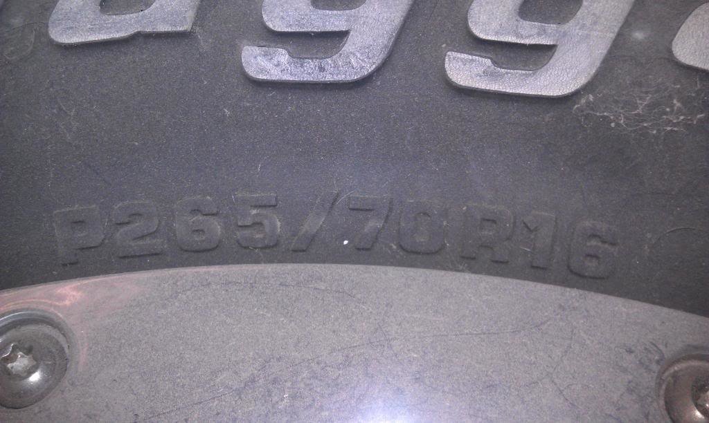 IMAG1244_cf9b444462dfe01ba069759c2d800269d50fda38.jpg