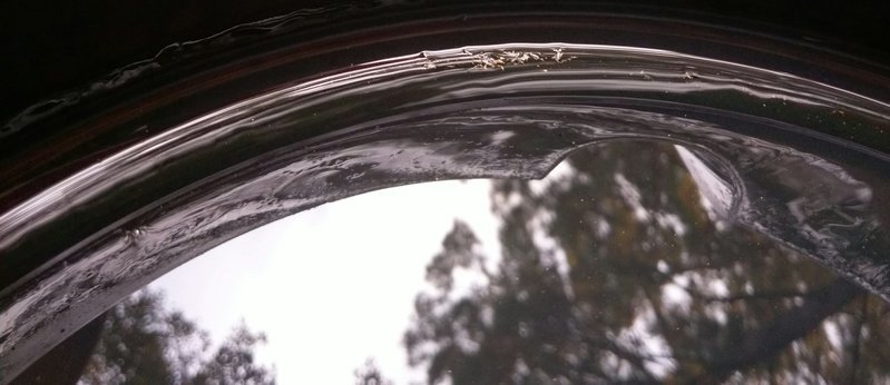 IMAG1282_1.jpg