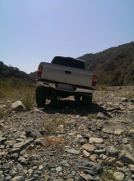 IMAG1295[1].jpg