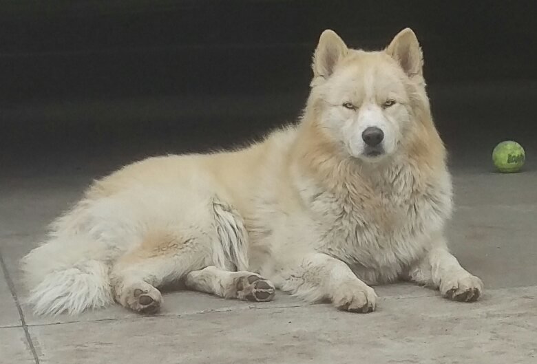 IMAG1400_1.jpg