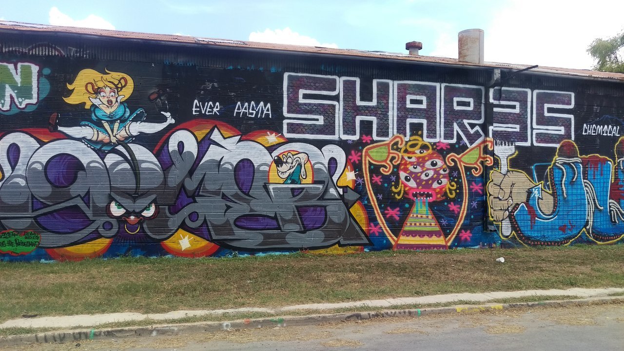 IMAG1467.jpg