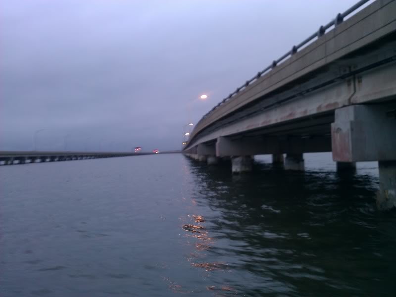 IMAG2005_128f9c799eec93a99409866caedc315a364d77a2.jpg