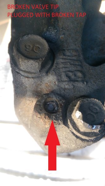IMAG2281.jpg