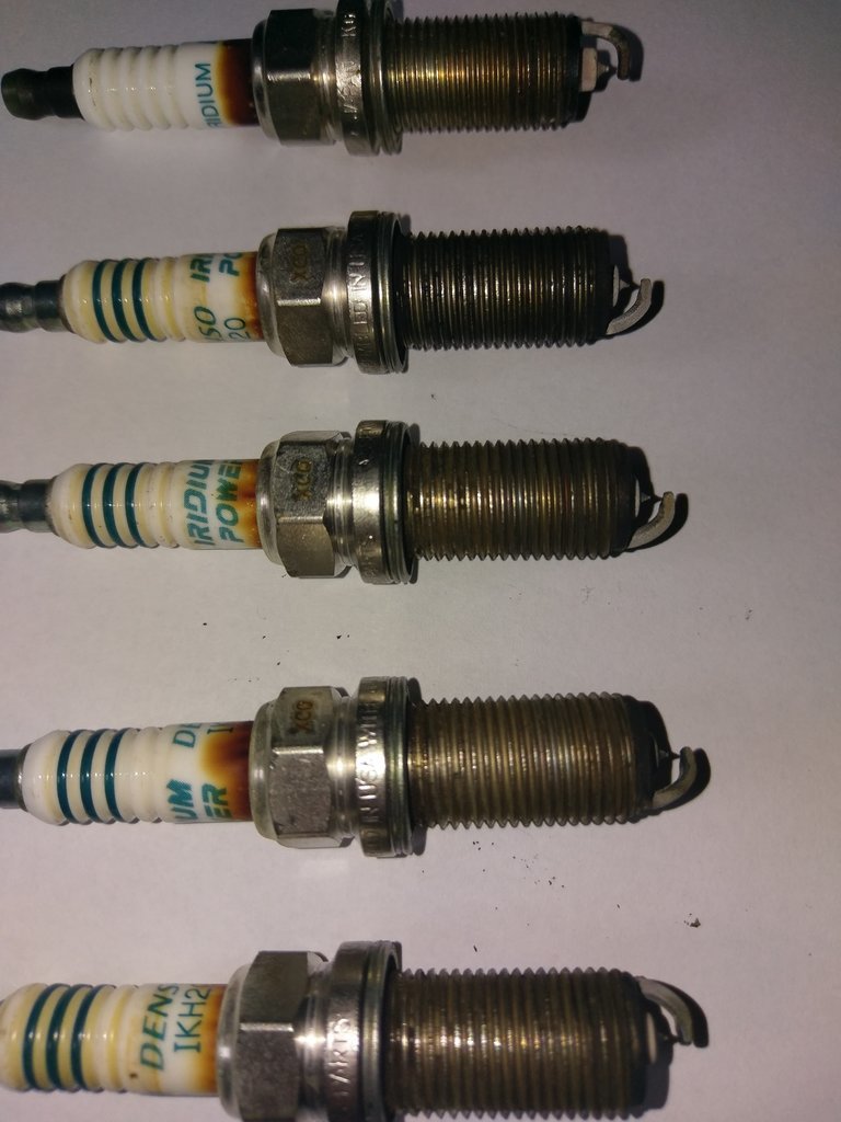 IMAG2484.jpg