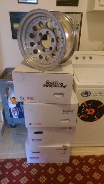 IMAG8156.jpg