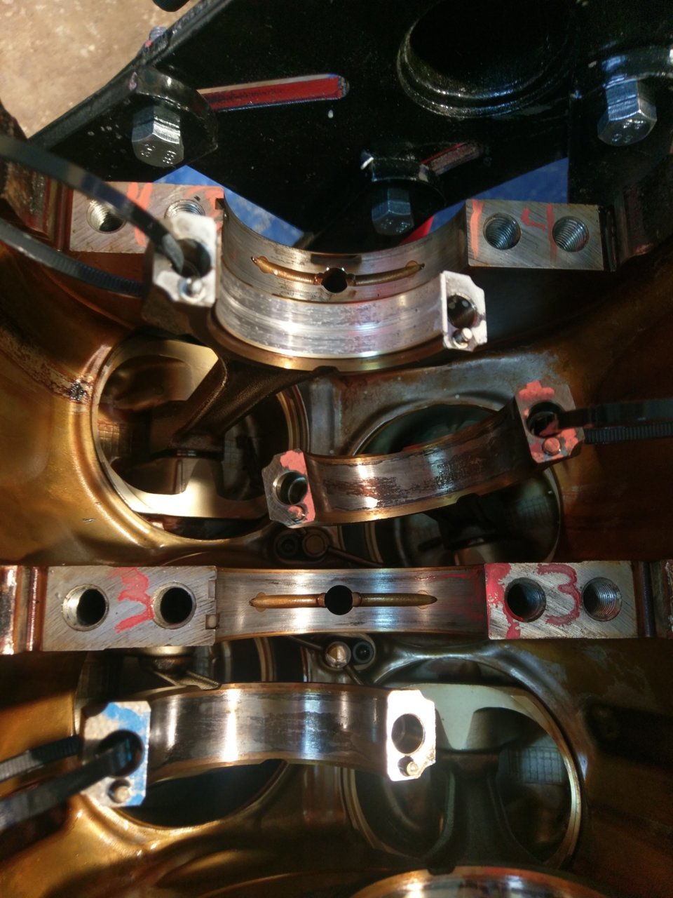 IMAG8504.jpg