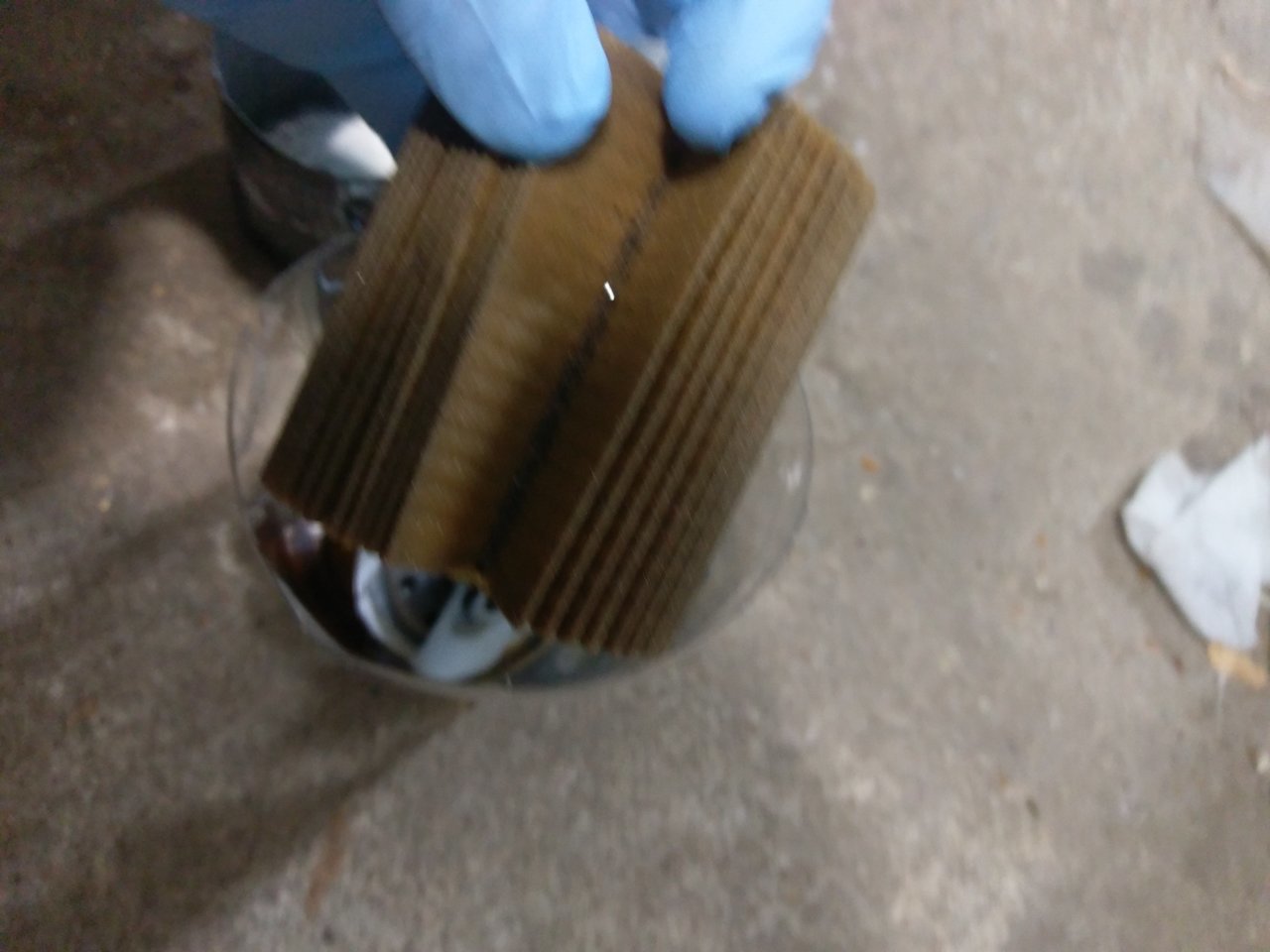 IMAG8544.jpg