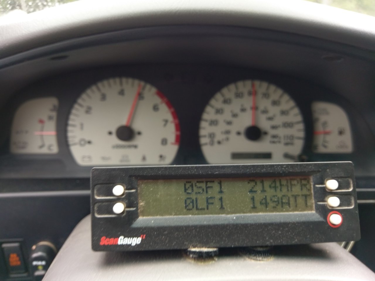 IMAG_03.jpg